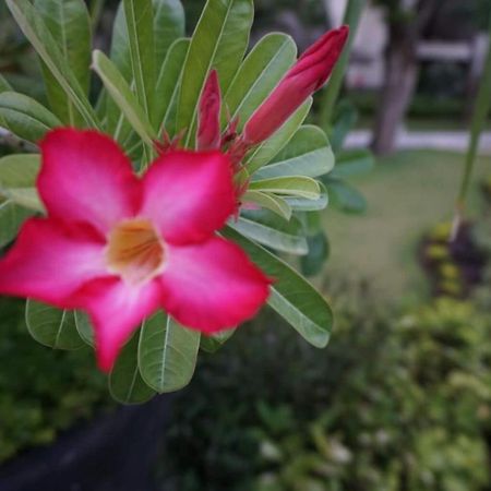 Ruby Nusa Dua  Exterior photo